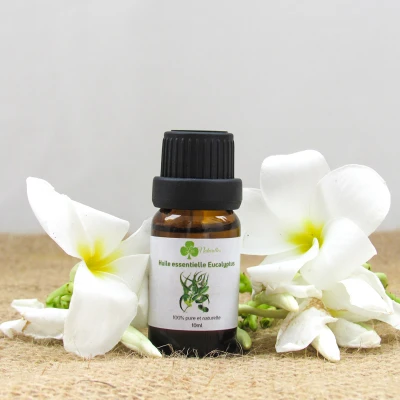 Huile Essentielle d’Eucalyptus
